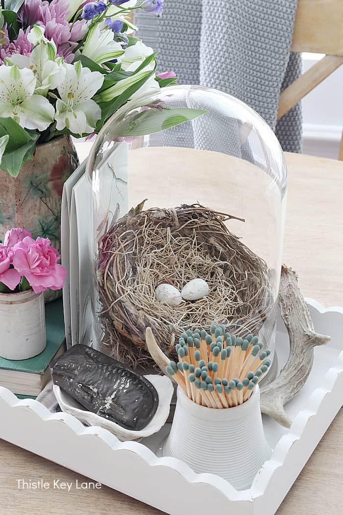 Bird nest under a cloche. Vintage Vignette For Spring.