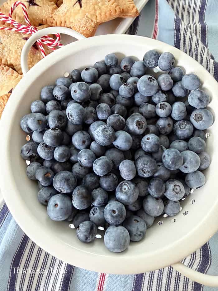 Blueberries in a bowl.