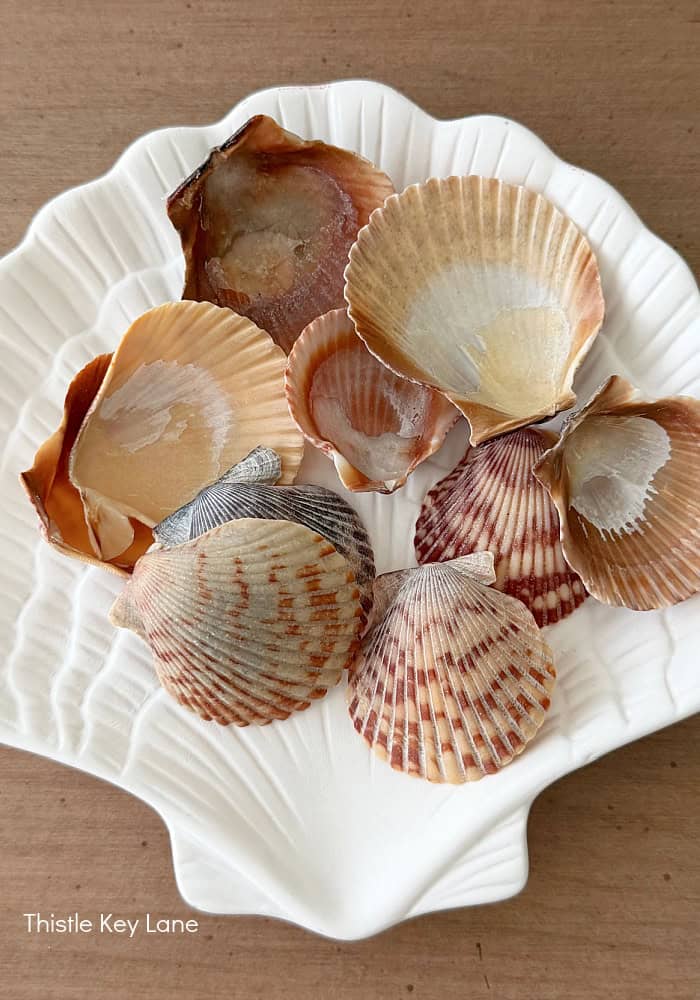 Shells in a dish.
