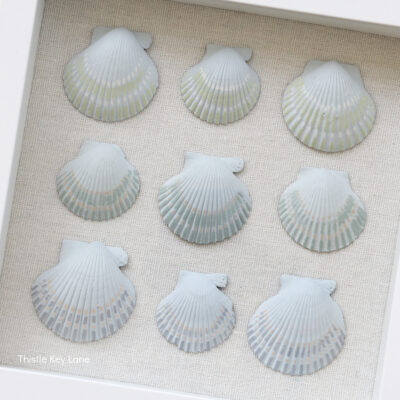 DIY Painted Shell Artwork