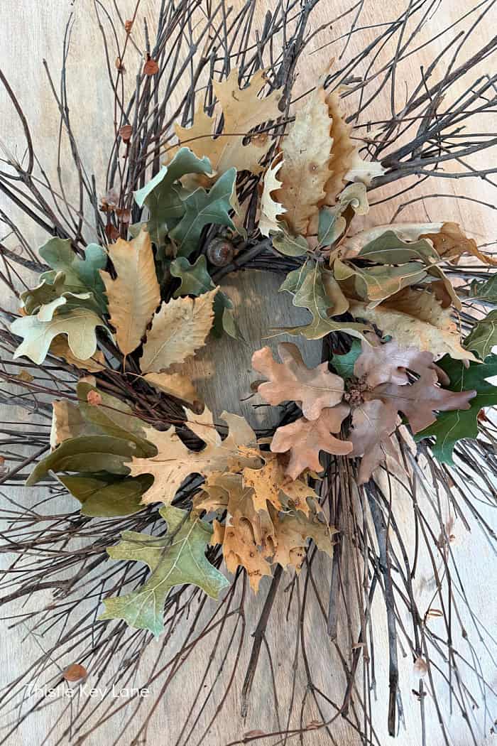Finished wreath with clusters of different oak leaves. Foraged Leaf Wreath DIY.