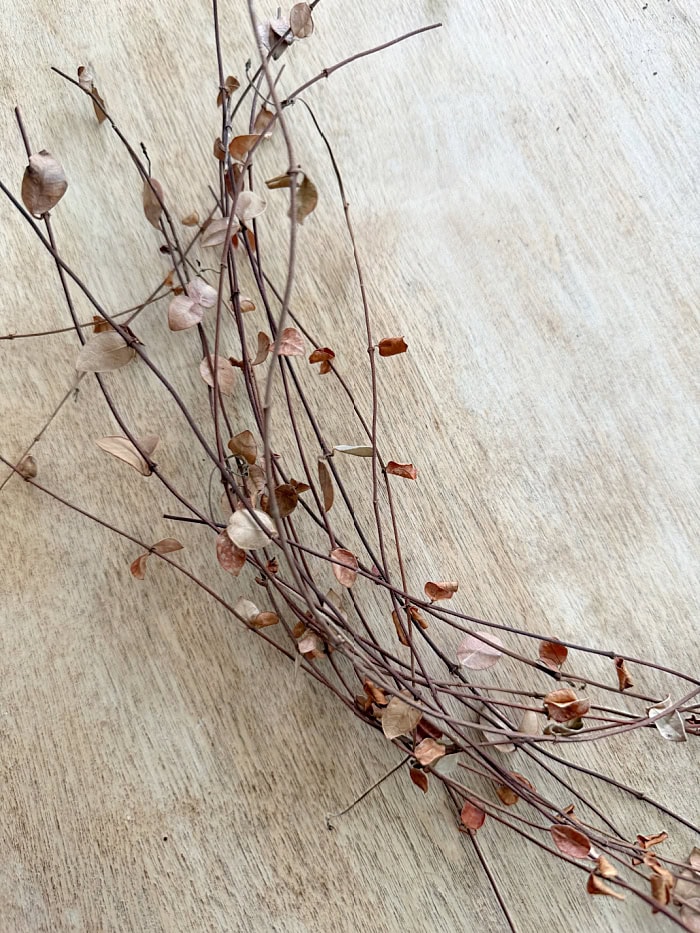 Dried vines with leaves.