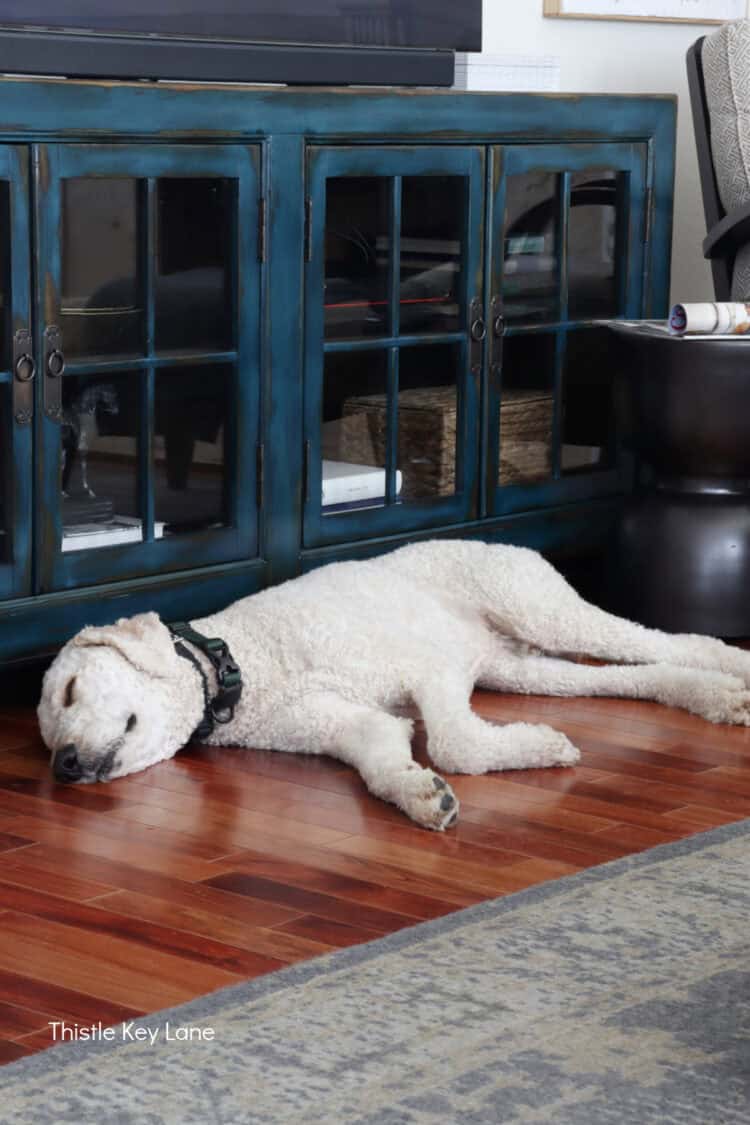 White dog sleeping on the floor.