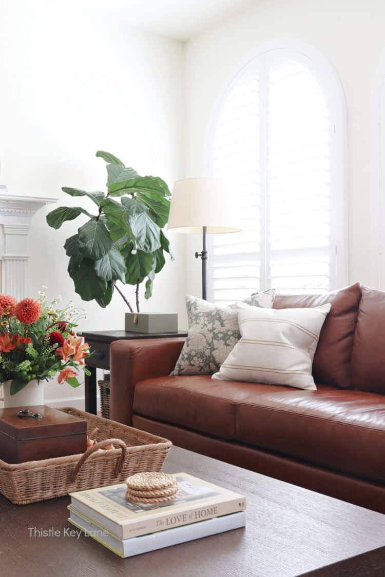 Leather sofa, pillows, tall fig plant and coffee table. Mixing In Cozy Fall Decor.