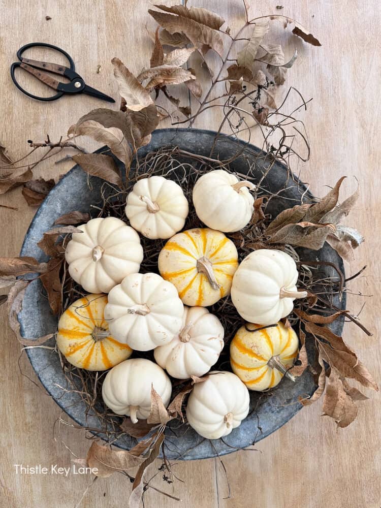 Mini pumpkins in a metal tub with leaves. Charming Rustic Fall Al Fresco Tablescape Ideas.